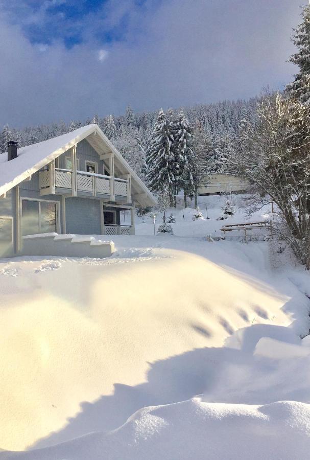 Chalet Le Flocon Bleu - Mauselaine Avec Vue Sur Le Lac De Жерарме Екстер'єр фото