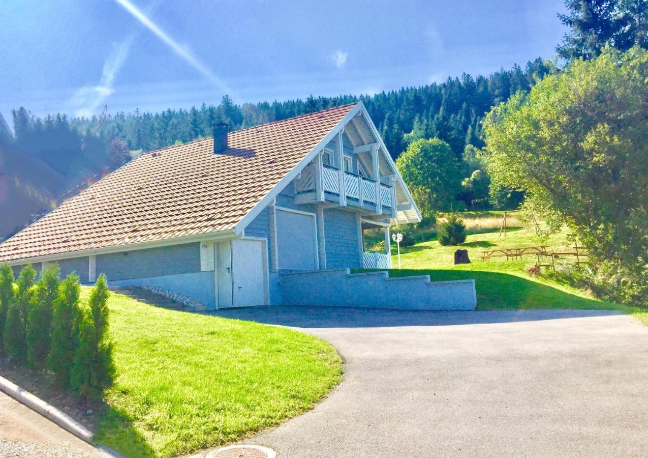 Chalet Le Flocon Bleu - Mauselaine Avec Vue Sur Le Lac De Жерарме Екстер'єр фото