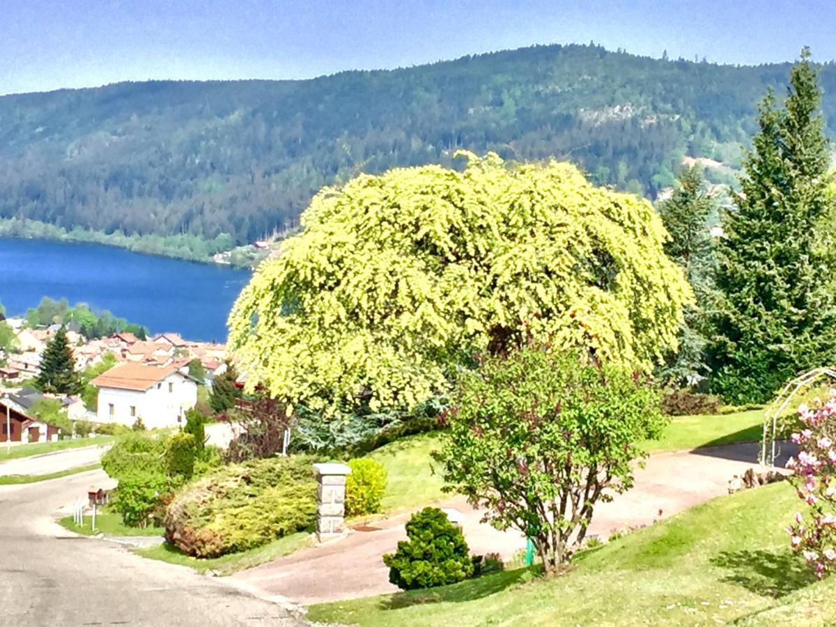 Chalet Le Flocon Bleu - Mauselaine Avec Vue Sur Le Lac De Жерарме Екстер'єр фото