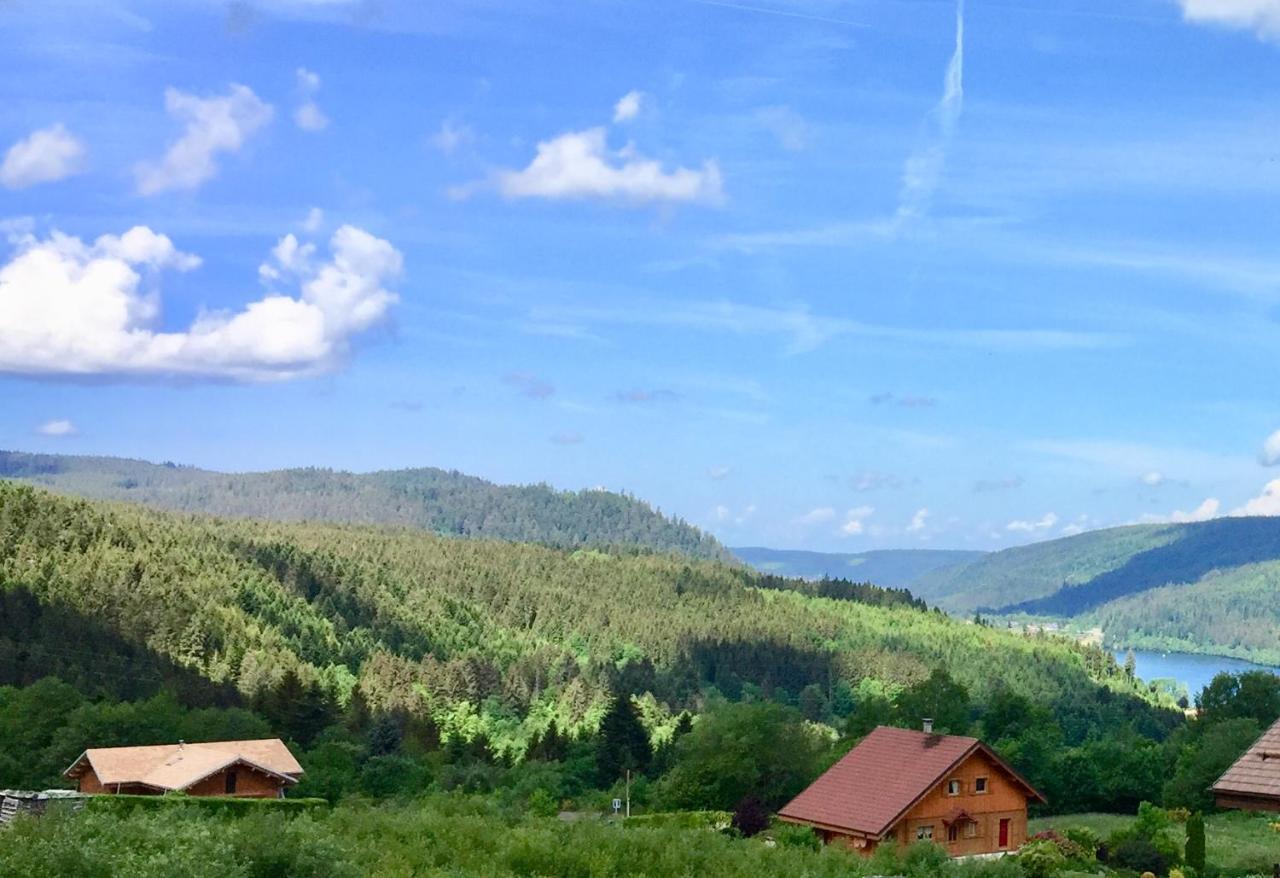 Chalet Le Flocon Bleu - Mauselaine Avec Vue Sur Le Lac De Жерарме Екстер'єр фото