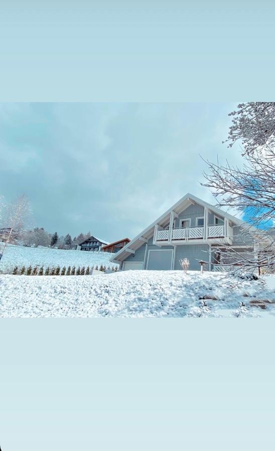 Chalet Le Flocon Bleu - Mauselaine Avec Vue Sur Le Lac De Жерарме Екстер'єр фото